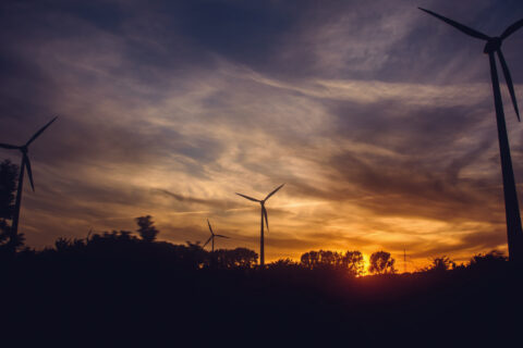 DerAmbiental
